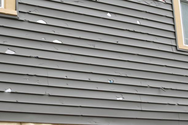 Best Siding Removal and Disposal  in Cle Elum, WA
